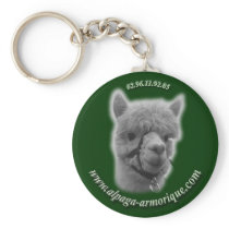 Tofou the alpaca