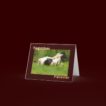 Together Forever Greeting Cards