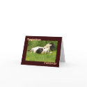 Together Forever Greeting Cards