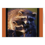Together Forever Raccoons Greeting Cards