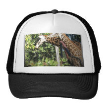 Together is Better-Giraffes Trucker Hat