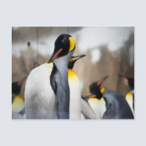 Together postcards