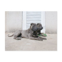 Together Postcards