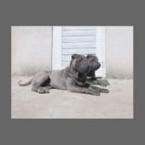 Together postcards by beverlytazangel Together postcards