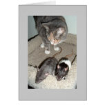 together we can greeting cards