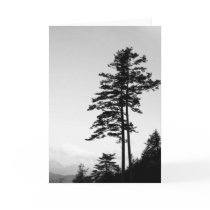 Together We Grow l Nature B&W Photography Cards