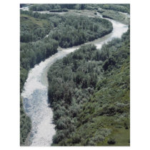 Togiak National Wildlife Refuge Personalized Flyer