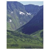 Togiak National Wildlife Refuge Flyers