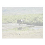 Togiak National Wildlife Refuge Invites