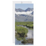Togiak Refuge Scenic Custom Rack Cards