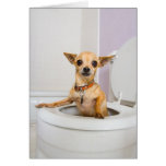 Toilet Bowl (water was drained out ) Greeting Cards