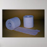 Toilet paper Photo Poster