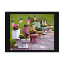 Toilet Planters postcards