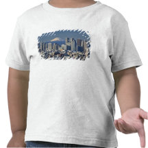 Tokyo, Shinjuku District Skyline, Mount Fuji, Tshirts