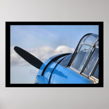 Toldo del invernadero del Texan Poster