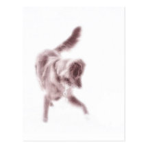 Toller Dance Postcard