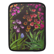 Tolumnia Equitant Oncidium Orchids iPad Rickshaw S iPad Sleeves
