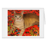 cat, ginger, tom, greeting, cards, cats