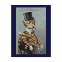 Tom Cat Dressed to the Nines Postcards