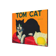 Tom Cat Lemon LabelOrosi, CA Stretched Canvas Prints