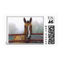 Tom postage by nascarhorselover Tom postage