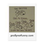 Tom The Fish Post Cards