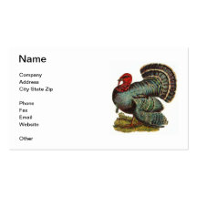 Tom Turkey Business Card