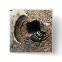 Tom Turkey - Thanksgiving button