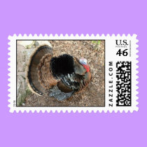 Tom Turkey - Thanksgiving postage stamps by Horseshoes3 Tom Turkey - Thanksgiving postage stamps