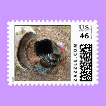 Tom Turkey - Thanksgiving postage stamps stamps