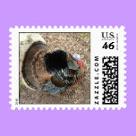 Tom Turkey - Thanksgiving postage stamps