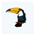 Tomas Toucan Print
