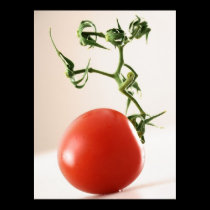 Tomate posters