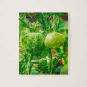 Tomatillos Jigsaw Puzzles