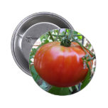 Tomato Button buttons