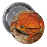 Tomato frog button