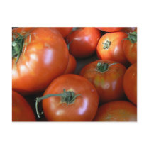 Tomato Harvest postcards