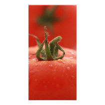 Tomato Photocard Photo Greeting Card