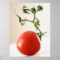 Tomato Print