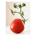 Tomato posters by red2000 Tomato posters