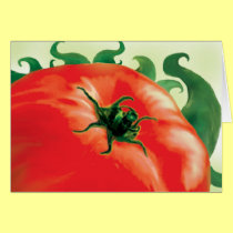 TOMATO RISING CARD-3 cards