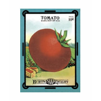 Tomato Seed Packet - Burt's Seeds t-shirts by vintagegiftmall Tomato Seed Packet - Burt's Seeds t-shirts