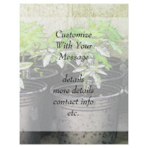 Tomato Seedlings In Nursery Pots Flyer Design
