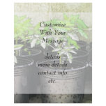 Tomato Seedlings In Nursery Pots flyers