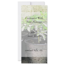 Tomato Seedlings In Nursery Pots Full Color Rack Card