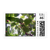 Tomato Tree Postage Stamp