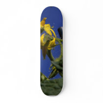 Tomatoes Blossoms Flowers skateboards