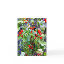 Tomatoes cards by Gasparin Tomatoes cards