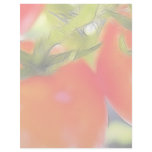 Tomatoes Close Up Letterhead Design