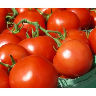 Tomatoes mousepad